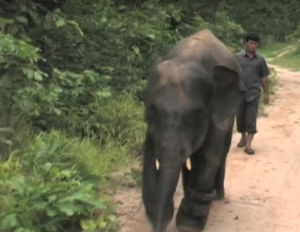 Screen Shot 2016-02-19 at 5.09.14 AM