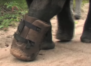 Screen Shot 2016-02-19 at 5.09.46 AM