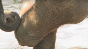 Screen Shot 2016-02-19 at 5.11.17 AM