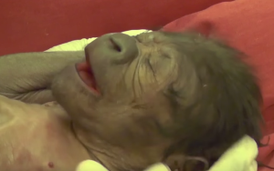 Screen Shot 2016-02-24 at 10.57.01 AM