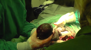 Screen Shot 2016-02-24 at 11.34.43 AM