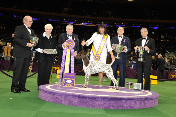 Westminister2016winner