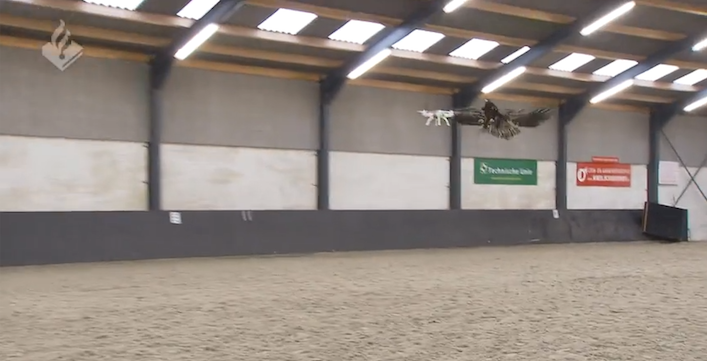 eaglevsdroneDutchPolice