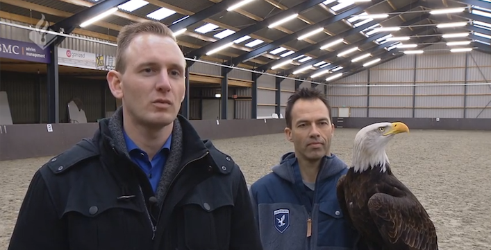 eaglevsdroneDutchnatpolice