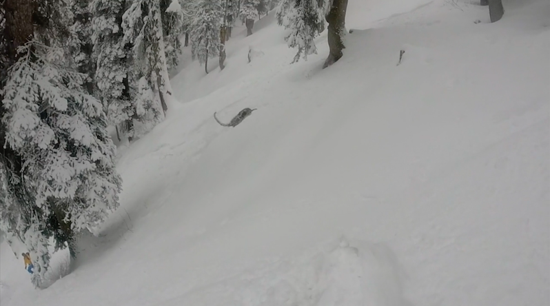 leopardskiBillsTrips