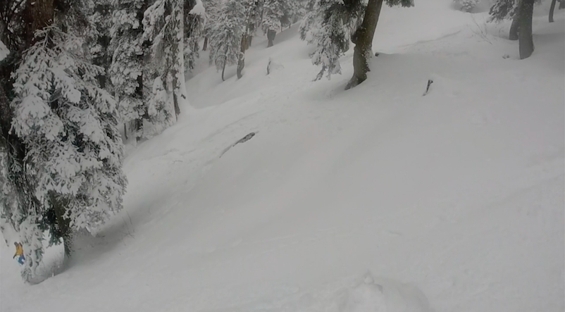 leopardskiingBillsTrips