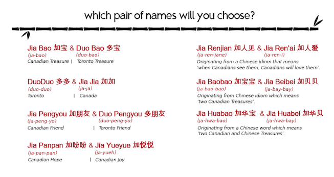 pandatwinsnamingcontest