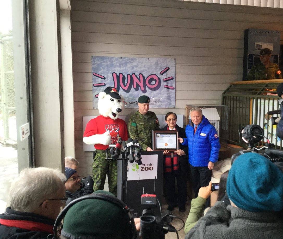 polarbearmilitarytorontozoo
