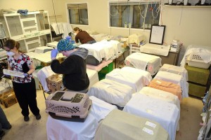 1010479_10156602880050557_5800351067978461689_n