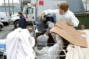 10583899_10156602879990557_8151990045147744435_n