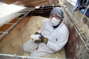 10600636_10156602879880557_7359385642227974920_n