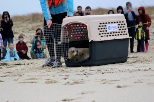 12718103_10154171809429101_8768113174337260873_n