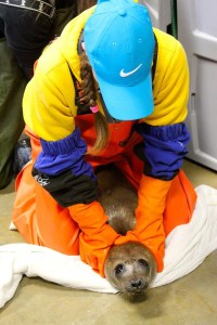 12916176_10154171806259101_6560399251925133485_o