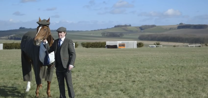 HorseTweedSuitCheltenham