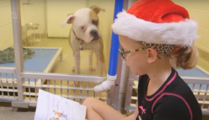 Screen Shot 2016-03-01 at 9.53.00 PM