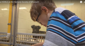 Screen Shot 2016-03-01 at 9.53.34 PM