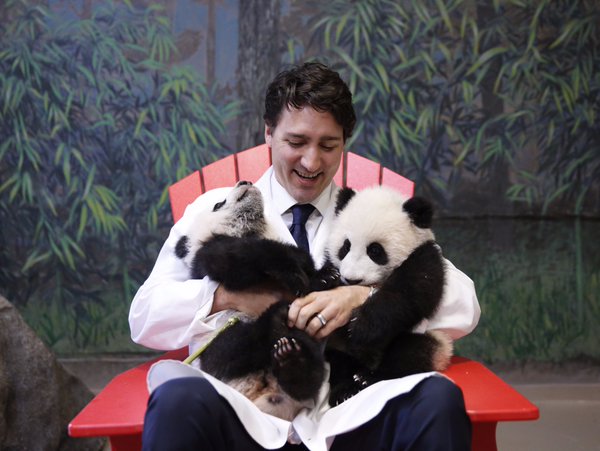 Canadian Prime Minister Justin Trudeau with twin panda cubs at the Toronto Zoo/Twitter