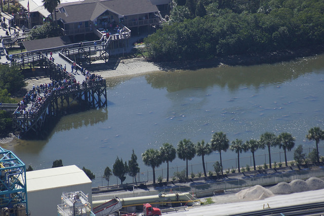 manateesurveyApolloBeach2016