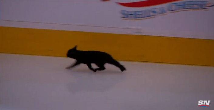 BlackCatNHLplayoffs