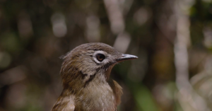 Screen-Shot-2016-03-31-at-11.18.46-AM-860x450