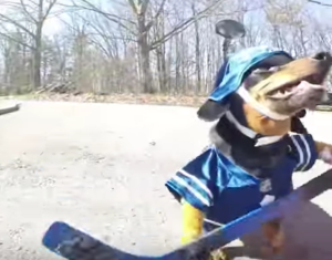 Screen Shot 2016-04-06 at 7.26.23 PM