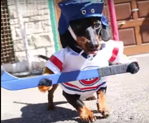 Screen Shot 2016-04-06 at 7.27.04 PM