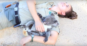 Screen Shot 2016-04-11 at 9.57.32 PM