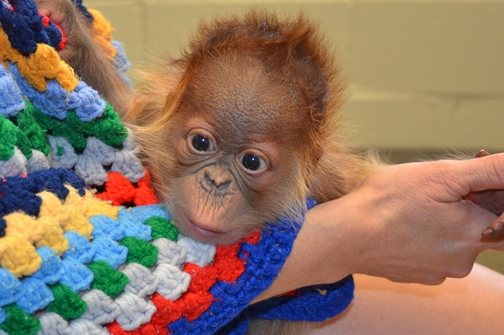 Screen Shot 2016-04-14 at 12.48.26 PM