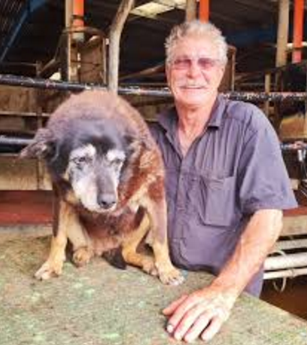 Screen Shot 2016-04-18 at 12.11.18 PM