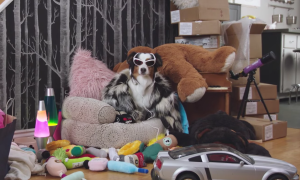 Screen Shot 2016-04-20 at 10.33.28 AM