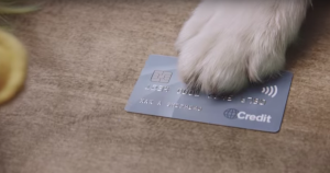 Screen Shot 2016-04-20 at 10.33.59 AM