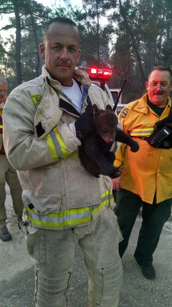 SmokeJuniorbearLakeFirePIO