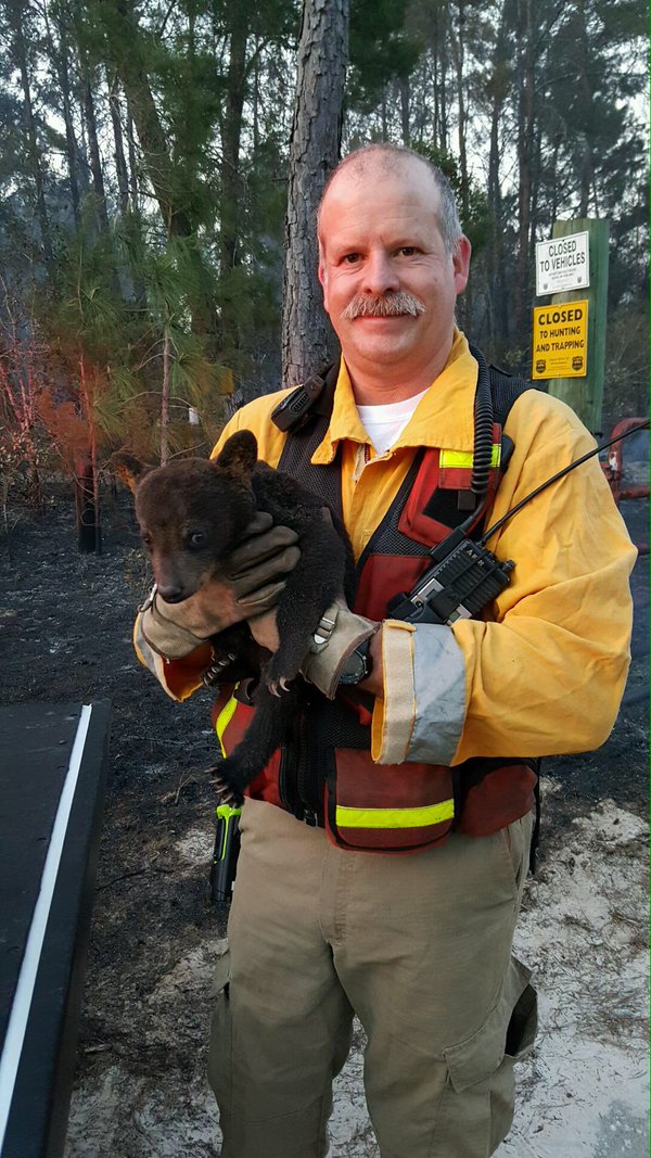 SmokeyJuniorLakeFirePIO