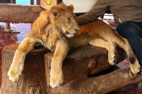 TamanSafariIndonesia