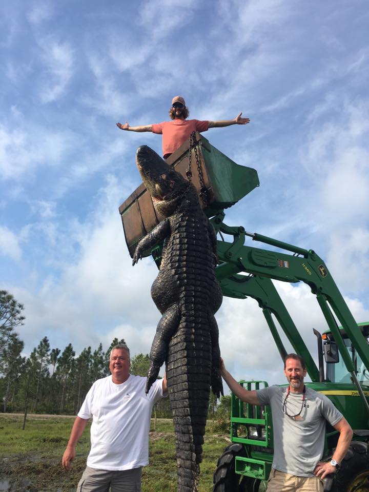 Giant gator killed in Florida/Blake Godwin/Facebook