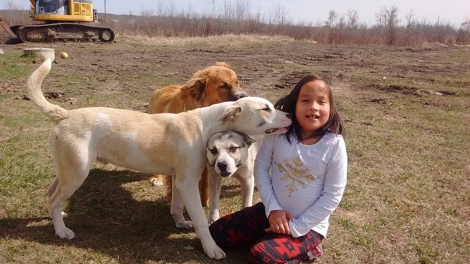 This 9-year-old girl was protected while lost in a by her dog/Submitted by family