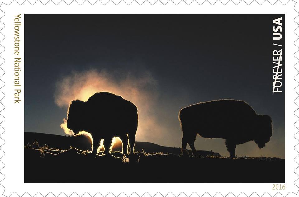 Bison and Yellowstone National Park is featured on a new U.S. stamp/Facebook