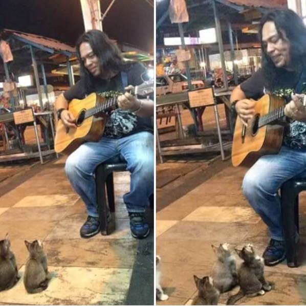 BuskerKittens