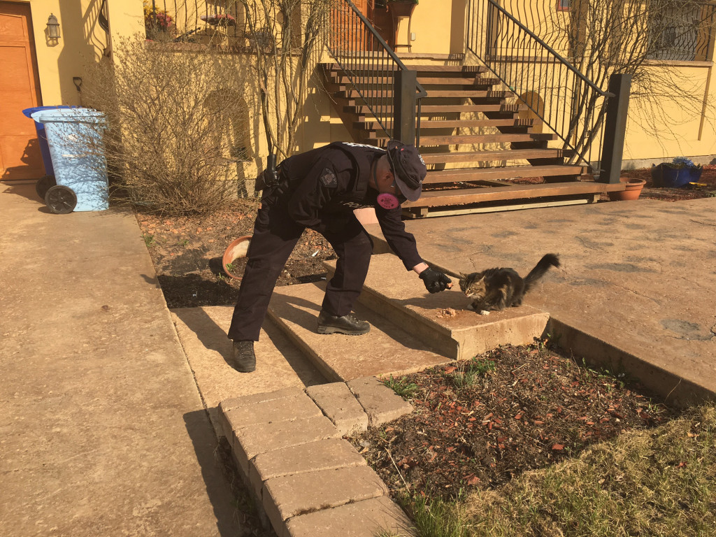 RCMP officers will do what they can to assist pets they may come across in carrying out search and rescue operations/Alberta RCMP