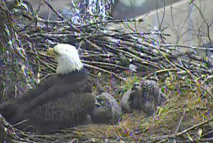 Screen Shot 2016-05-02 at 5.51.47 AM