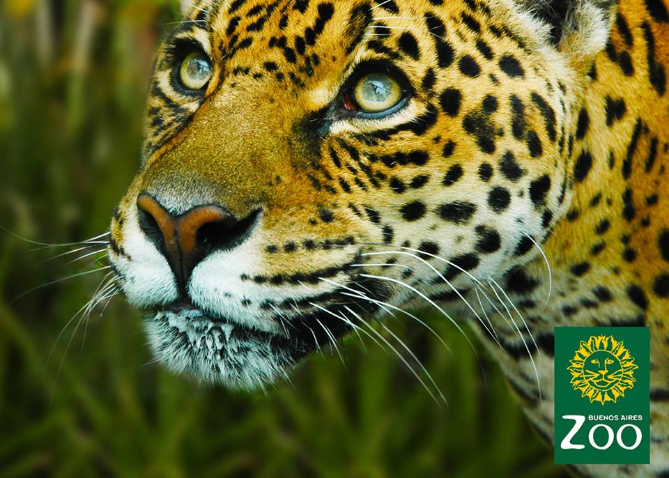 BuenosAireszoo