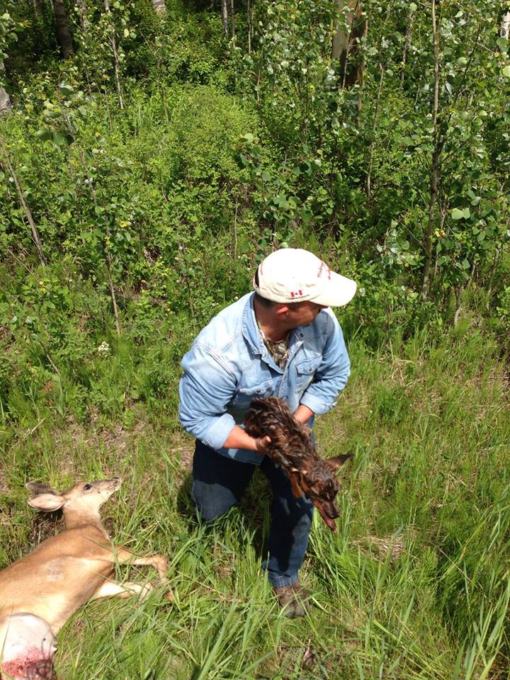 Michele Steele snapped this photo moments after the emergency delivery/Facebook