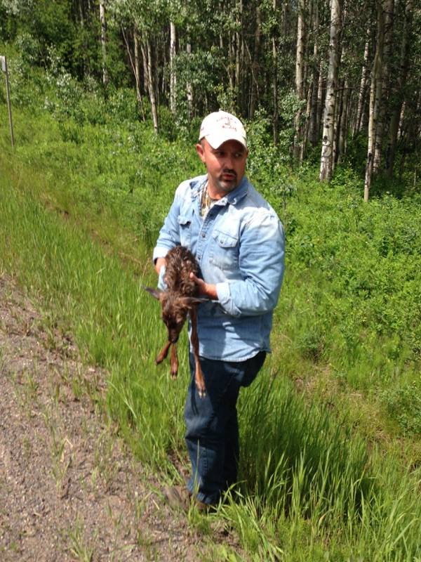 Sean Steele with the newborn fawn he saved from certain death. Stephanie Steele/Facebook