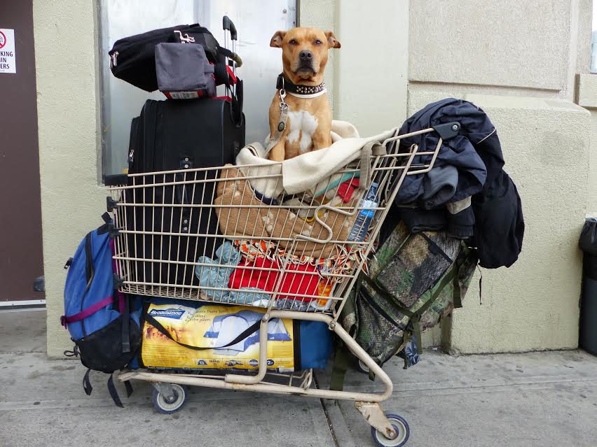 Honey at the Mustard Seed