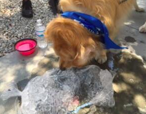 Screen Shot 2016-06-14 at 10.08.50 PM