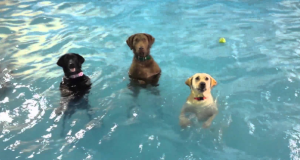 Screen Shot 2016-06-16 at 9.26.38 PM