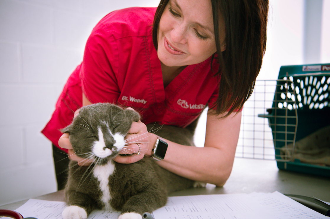 Dr. Wendy McClelland on free veterinary care day for the homeless/Aubri Poon Photography