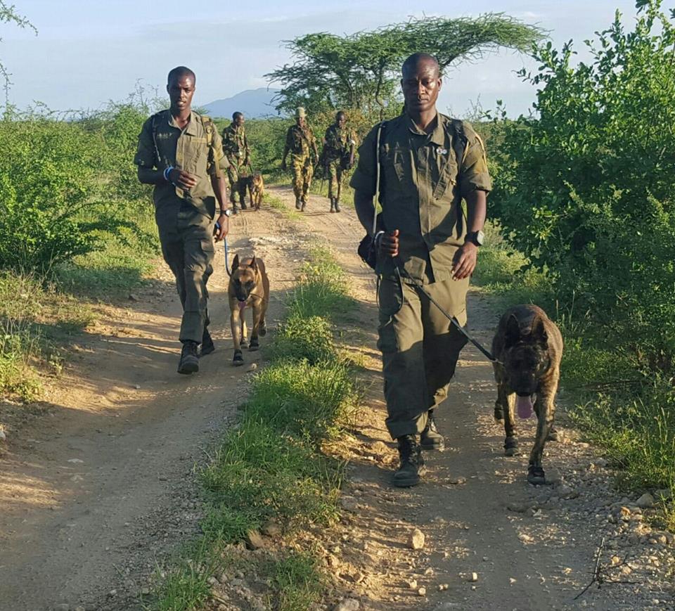 K9 members and their handlers in the anti-poaching unit of the Northern Rangelands Trust/Facebook