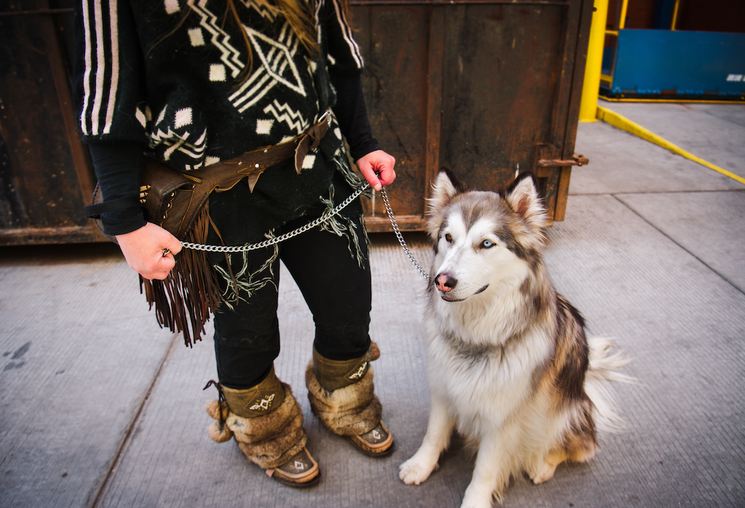 A furry client on free vet day at the Mustard Seed/Aubri Poon Photography