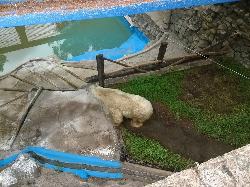 Arturo in March, 2016 posted by Free Arturo USA/Canada support/Facebook